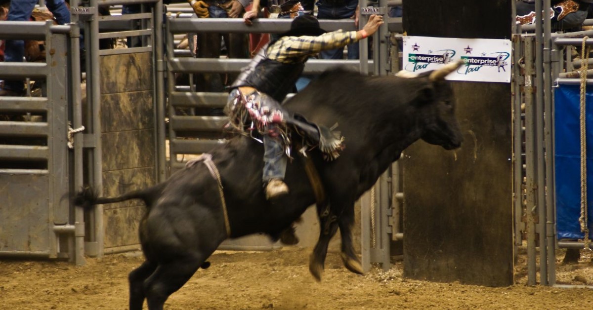 Bull Riding Champion Determined to Compete Again Despite Serious Injuries