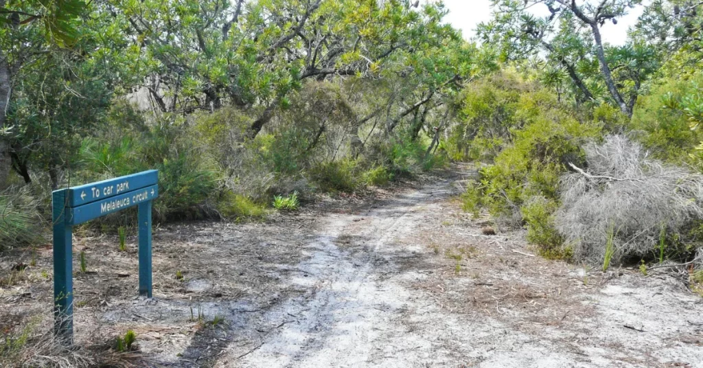 Bribie Island