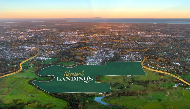 Waraba's Lilywood Landings will continue to develop