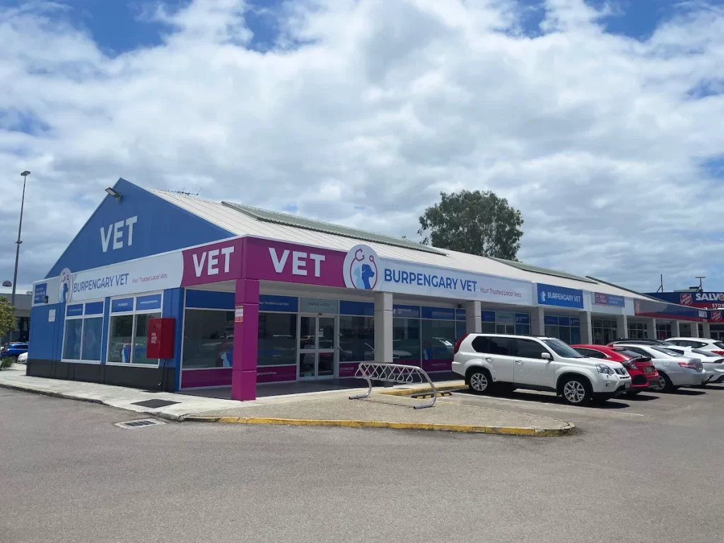 Burpengary Vet