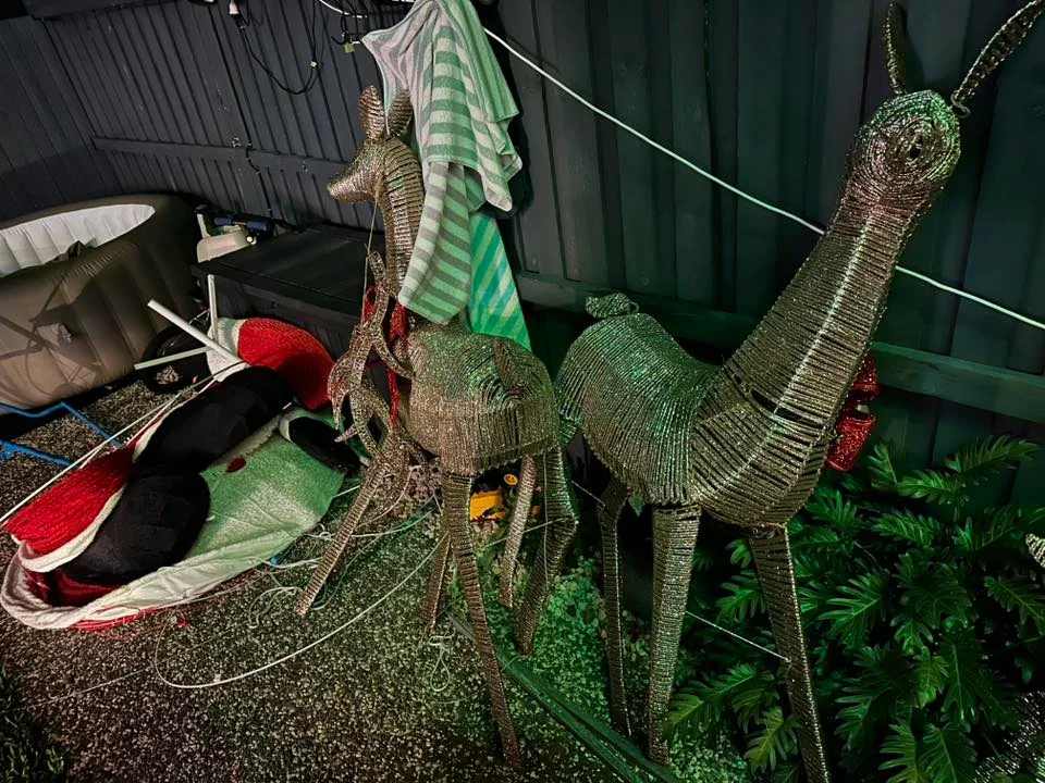 Merry Strickland Christmas storm damage