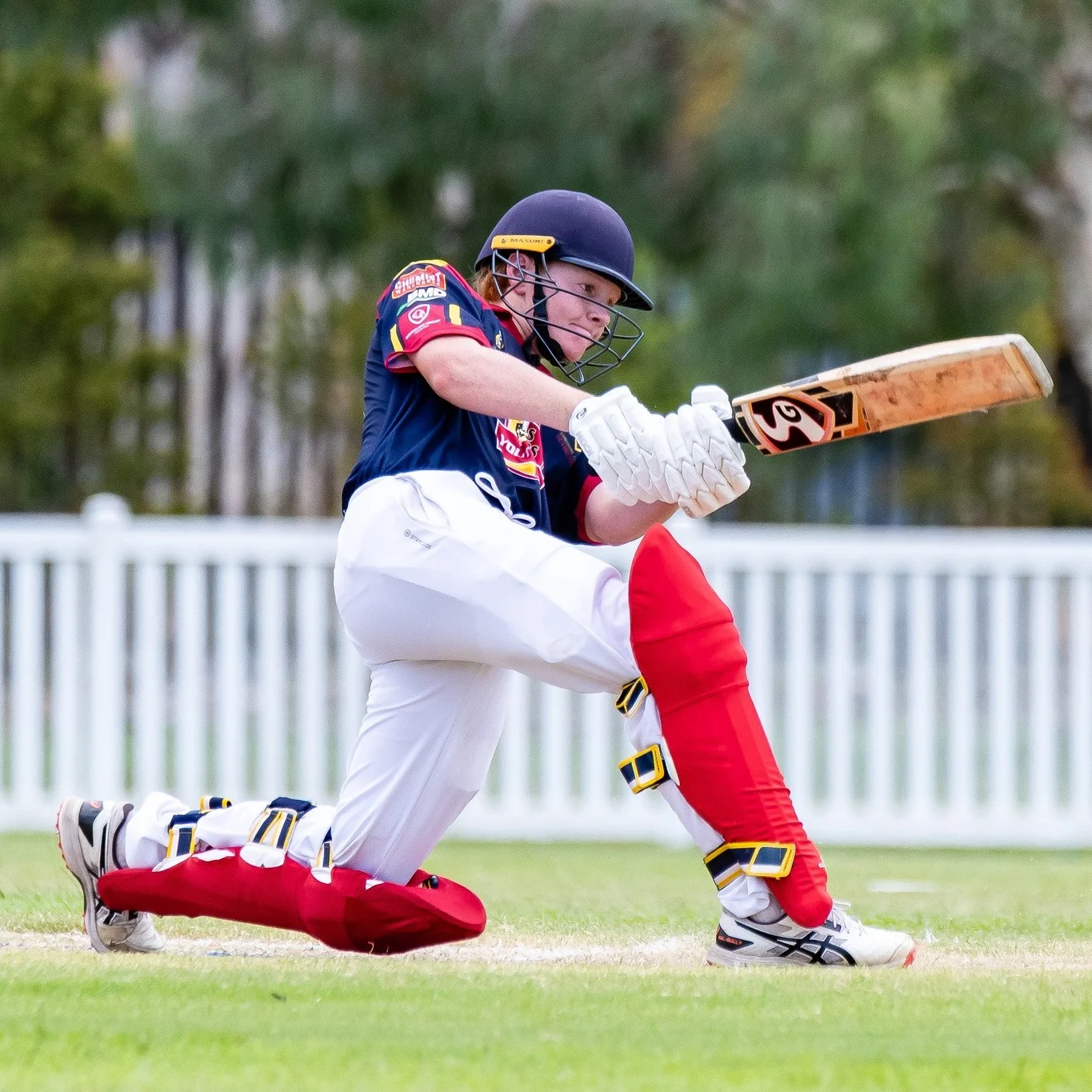 Sunshine Coast Scorchers