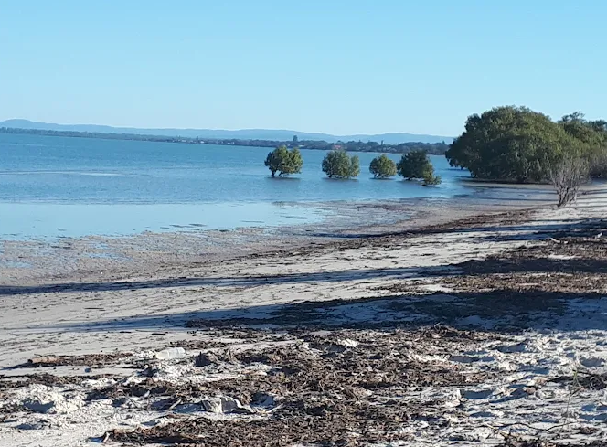 Beachmere Foreshore