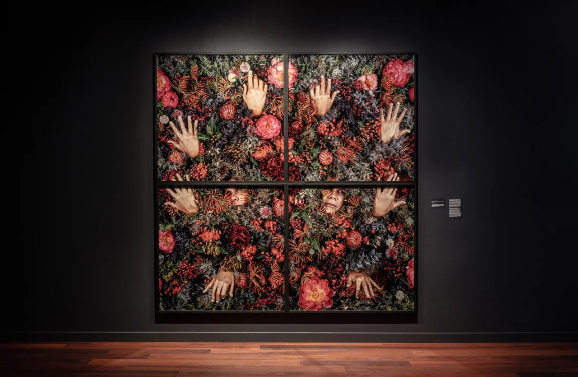 Caboolture Regional Art Gallery