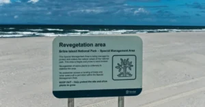 bribie