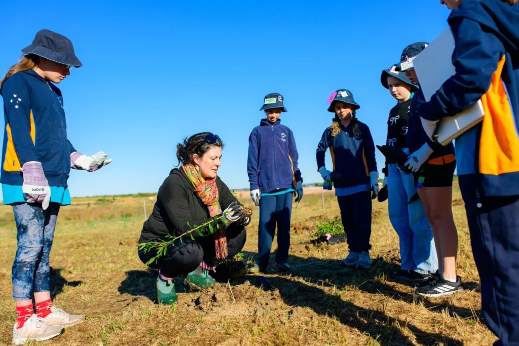 North Harbour tree planting 