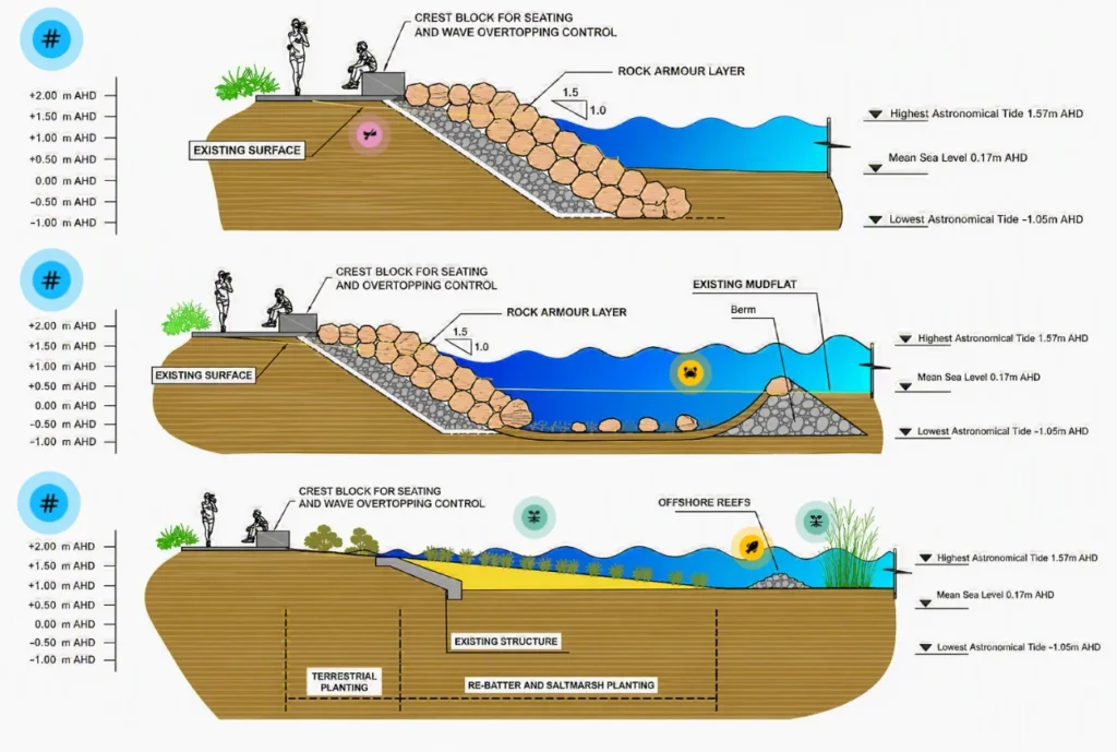 Native coastal planting near rock protection